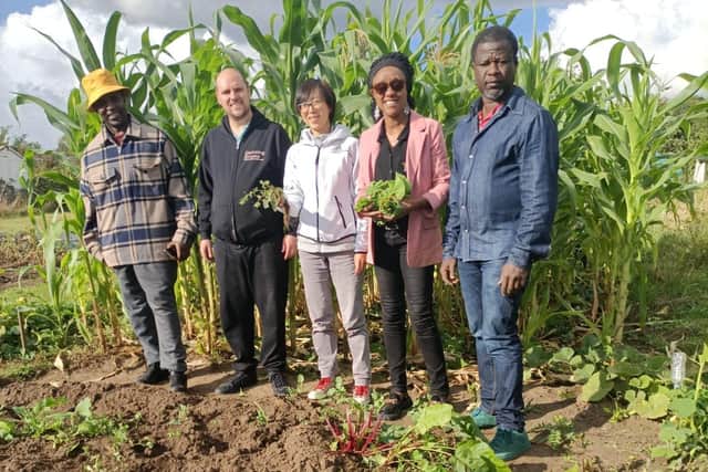 photo from community allotment