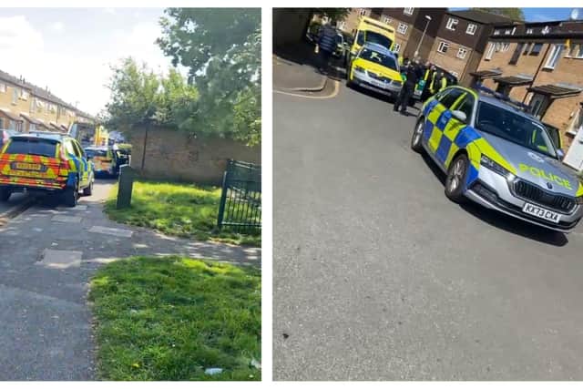 Pictures from the scene.
