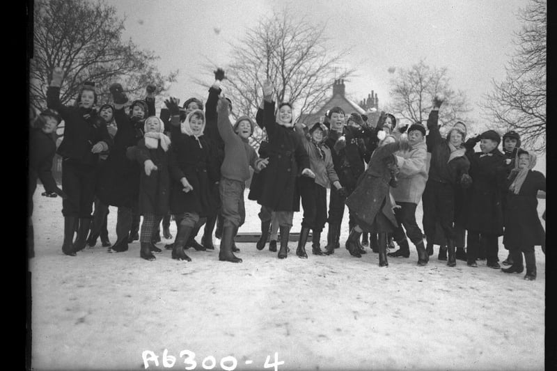 Snow in Abington Park, Northampton, January 12, 1959