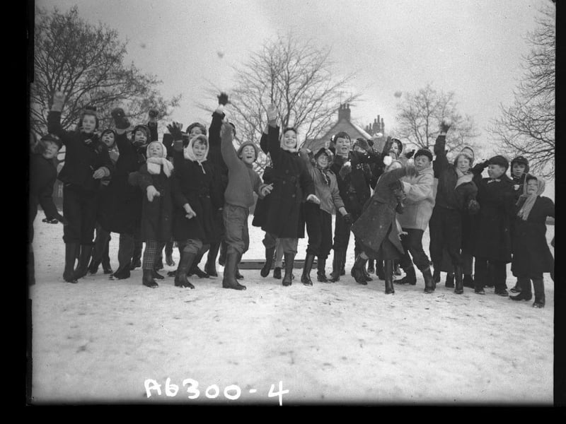 Snow in Abington Park, Northampton, January 12, 1959