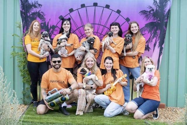 Teddy’s Dog Care, in Newport Pagnell Road, was founded by Michelle Wilson in 2010 after she adopted her pug Teddy – who inspired her to expand her love and care to more dogs across the county. Photo: Kirsty Edmonds.