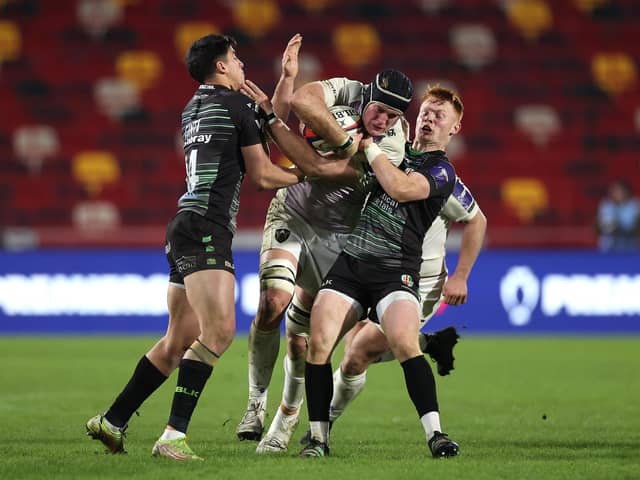 Alex Coles in action for Saints at London Irish