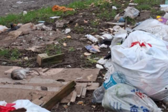 Tia Cottingham, who has lived on Elizabeth Walk since 2011, captured this photograph of a dead rat among littering and fly tipping and she believes the issue has worsened in recent years.