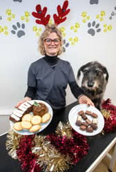 Favourite festive treats such as mince pies, chocolate and Christmas cake, can be toxic to pets.