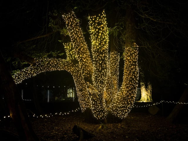 The Winter Light Trail at Delapre Abbey from November 18, 2022 to January 2, 2023.