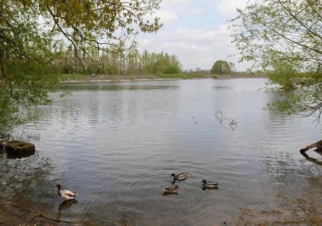 Daventry Country Park offers a range of walks, covering different distances, with the longest being just over six kilometres. Close to the car park, there is a visitor's centre and cafe for the all important after-walk coffee and snack.