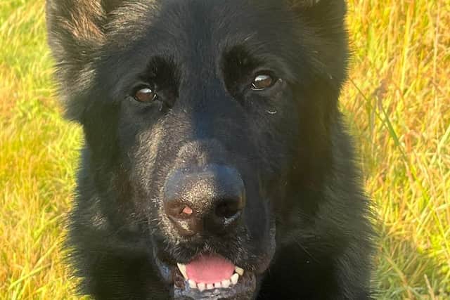 PD Buster helped to track suspects.