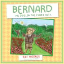 Front cover of 'Bernard The Dog in the Furry Suit'