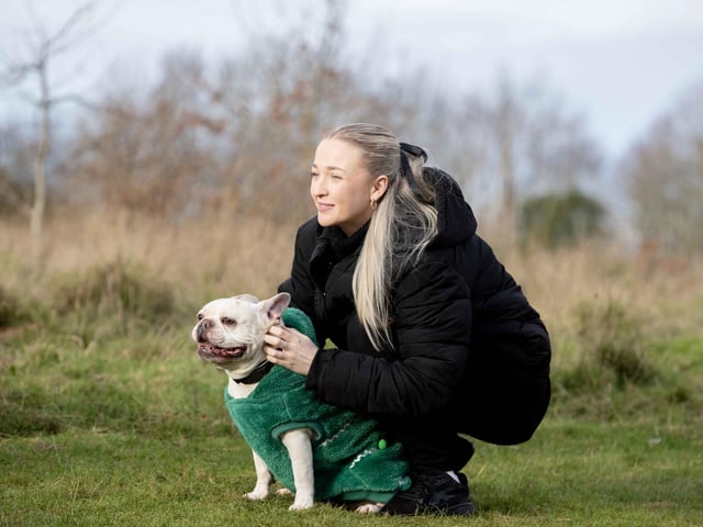 Around 60 French Bulldogs dressed in festive outfits for the annual Christmas walk at Hunsbury Country Park on Sunday December 15.