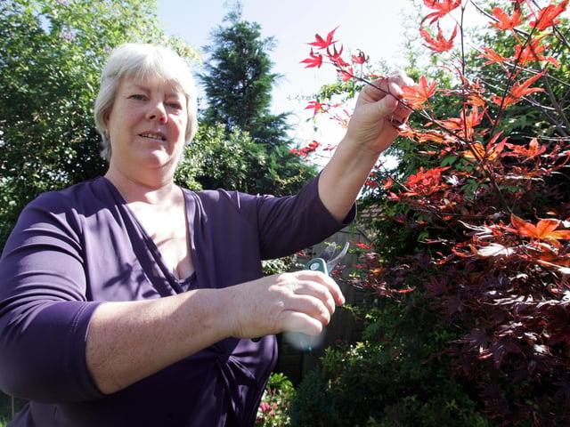 2008 - Caroline Hardwick finally gets to put her feet up after taking retirement from Northampton General Hospital. Pictured at home with her cat and doing a spot of gardening!
