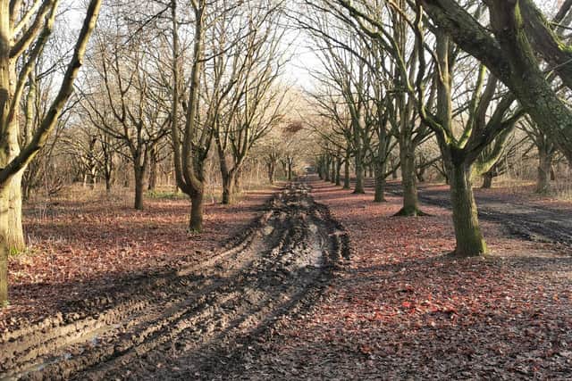 Delapre Abbey on Monday (January 9)