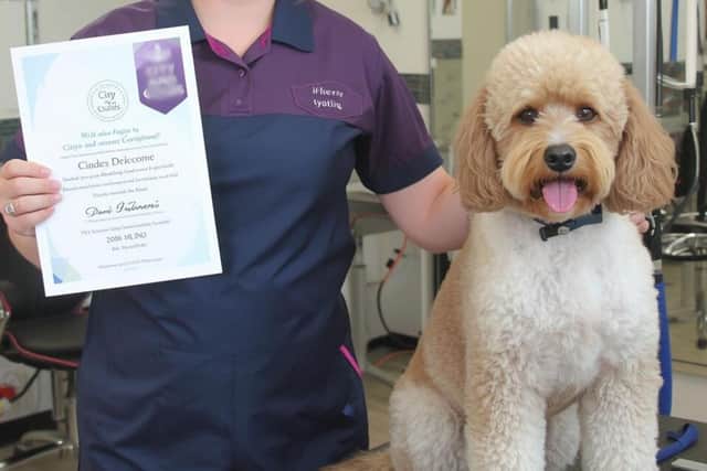 Newly qualified pet businesses owners can now access discounted support.