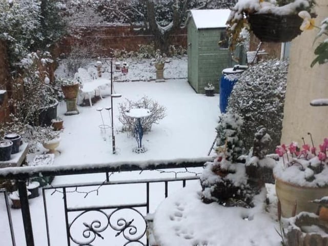Eileen Russell's garden in central Northampton looking very wintery.
