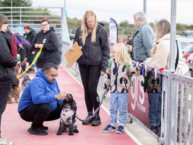 The flyball team hosted a fun dog show at Sixfields Stadium on Sunday September 29 to celebrate its milestone anniversary.
