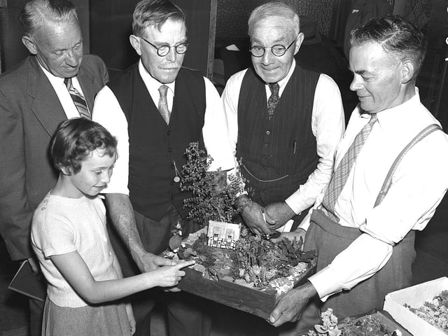 Co-op Flower Show Northampton, September 1958