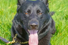 PD Blue helped to arrest two suspects at a Northampton warehouse.