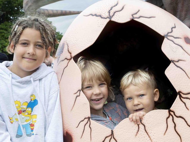 Visitors had tons of fun with the dinosaurs at Delapre Abbey