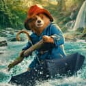 Paddington in Peru