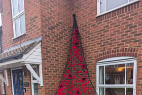 Poppy Display