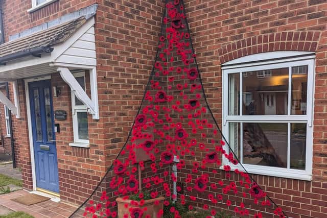 Poppy Display