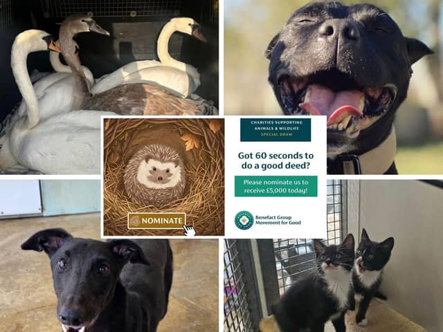 Animals In Need is asking people to nominate them in a bid to secure £5,000 in the special draw
