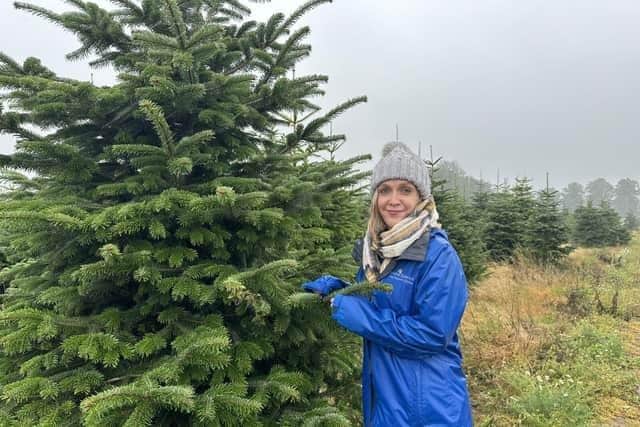 Nina Gandy, corporate partnerships fundraiser lead at Cynthia Spencer Hospice, launched the Christmas Tree Recycling Scheme.