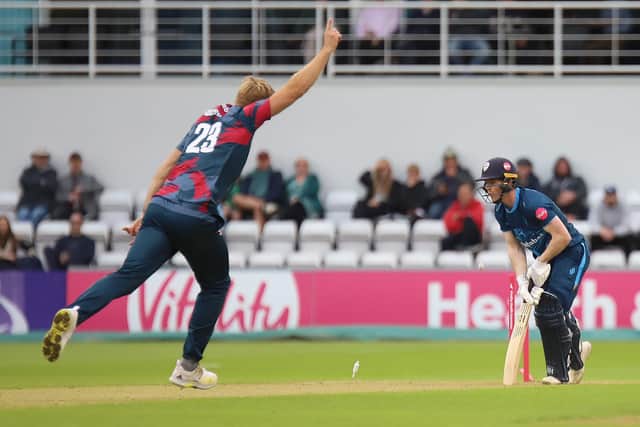 David Willey celebrates a wicket (Picture: Peter Short)