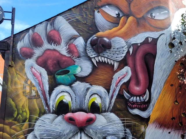 Some of the UK's top graffiti artists sprayed walls and boards in Sol Central, Green Street and St Peter’s Way with the intention to increase community pride and reduce crime