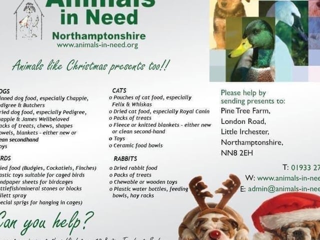 Every year, Animals in Need runs a Christmas Show Box Appeal to ensure every animal at the rescue receives a special gift for the holidays. Your support can help make this festive season extra special for our furry friends.