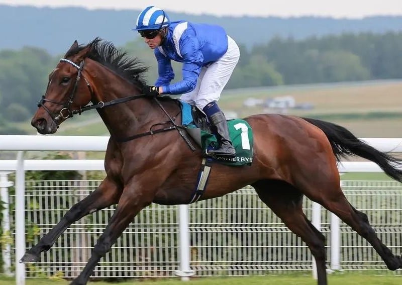 Many of you might not be familiar with the name, but John Gosden's 3yo daughter of Frankel is the talking horse of the moment after a couple of startlingly easy victories at Haydock and Goodwood. On the latter occasion, her success evoked memories of Baaeed who, in the same former Hamdan Al Maktoum colours, was the wonder horse of last term. And it impressed connections so much that they forked out £13,000 to supplement her for Thursday's Ribblesdale Stakes. She is one of only two odds-on favourites at the entire meeting.
