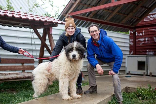 So many dogs needing our help