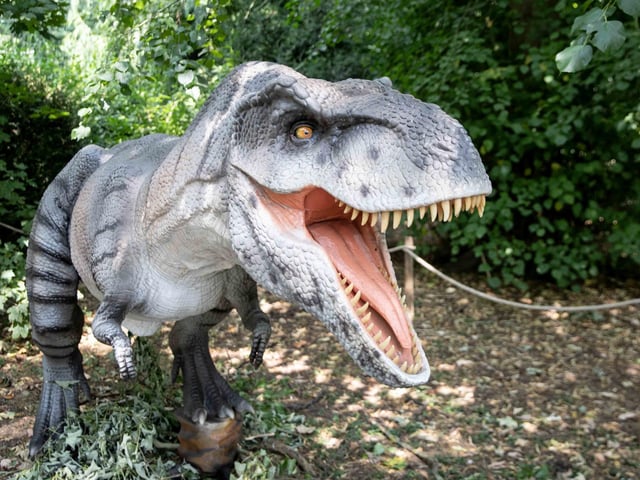 What to expect from the Dinosaurs in the Park event, which is at Delapre Abbey until Sunday September 1, 2024.