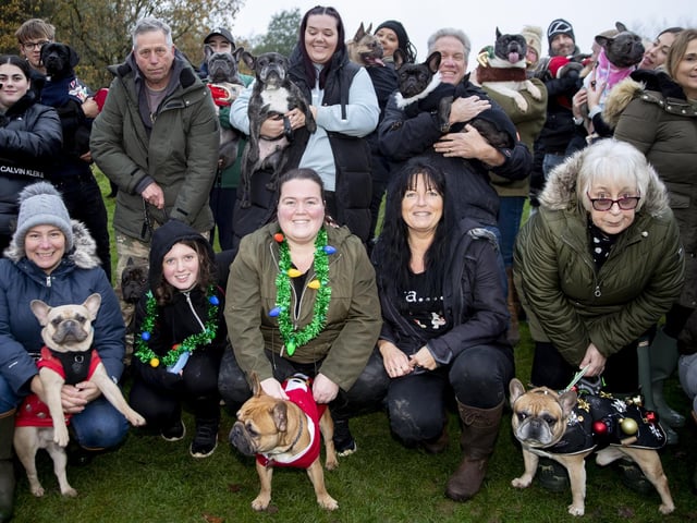 The French Bulldog Meet & Walk group’s Christmas walk at Hunsbury Hill Country Park on Sunday December 4, 2022.