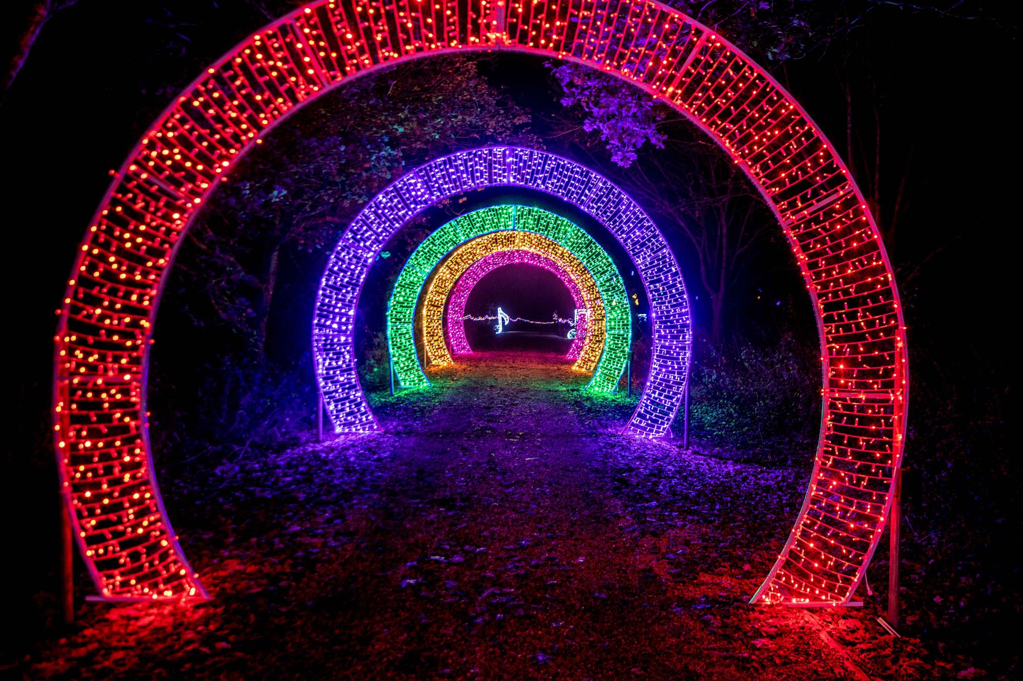 Northampton's winter light trail at Delapre Abbey CLOSED today due to ...