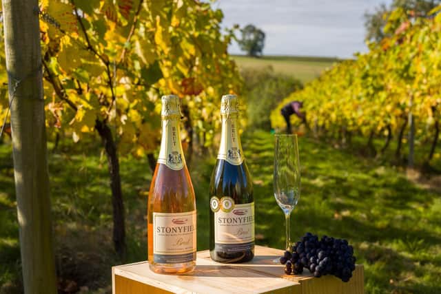 Stoneyfield Vineyard Open Day
