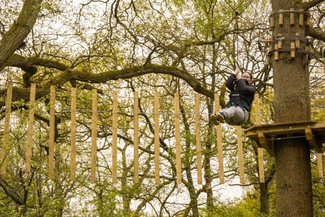 Girl on Go Ape Treetop Adventure Plus experience