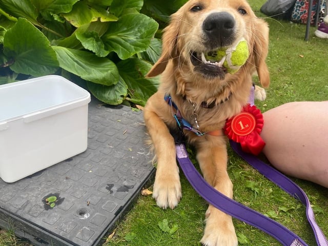1st Prize, water bowl and a ball what more can a dog ask for Happy and contented at the Dog Show.