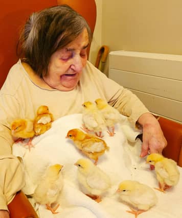 Living Egg Experience at Elm Bank Care Home in Kettering.
