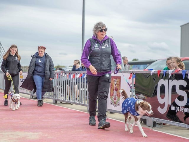 The flyball team hosted a fun dog show at Sixfields Stadium on Sunday September 29 to celebrate its milestone anniversary.