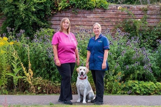 Owners of the Vets4Pets practice, Jenny Millington (left) and Davina Graves (right)