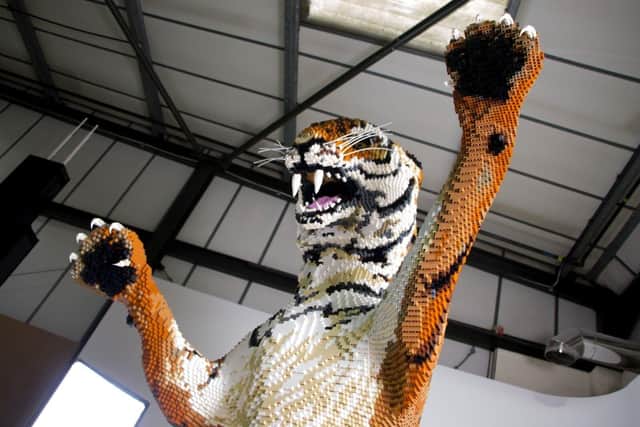 The Bengal Tiger model will go on display in Northampton town centre this weekend