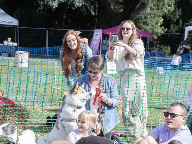 Pooches and owners alike enjoying the popular dog festival on Saturday September 14, 2024.