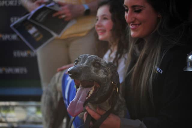Romeo Command was a standout winner in Round Three of the English Greyhound Derby on Saturday.