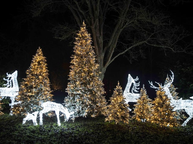 Take a look around the winter light trail, which is now open and will be until December 31.