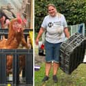Emma from Animals In Need helping rescue 300 hens from Wales
