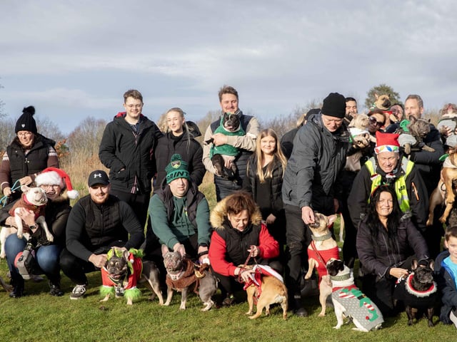 Around 60 French Bulldogs dressed in festive outfits for the annual Christmas walk at Hunsbury Country Park on Sunday December 15.