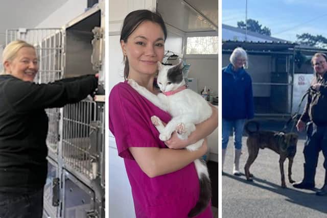 Some of the volunteers who help out at Animals In Need