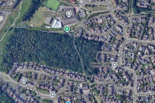 The incident happened in Woodland in Grange Park.