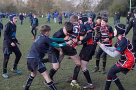 The under-11s festival took place at Old Scouts Rugby Club in Rushmere Road on Saturday (April 2).