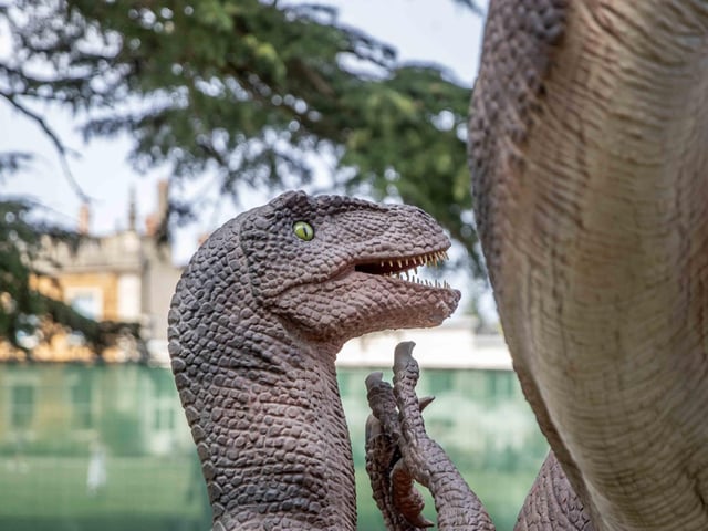What to expect from the Dinosaurs in the Park event, which is at Delapre Abbey until Sunday September 1, 2024.